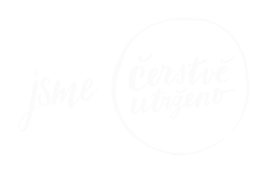 Primary Raster logo